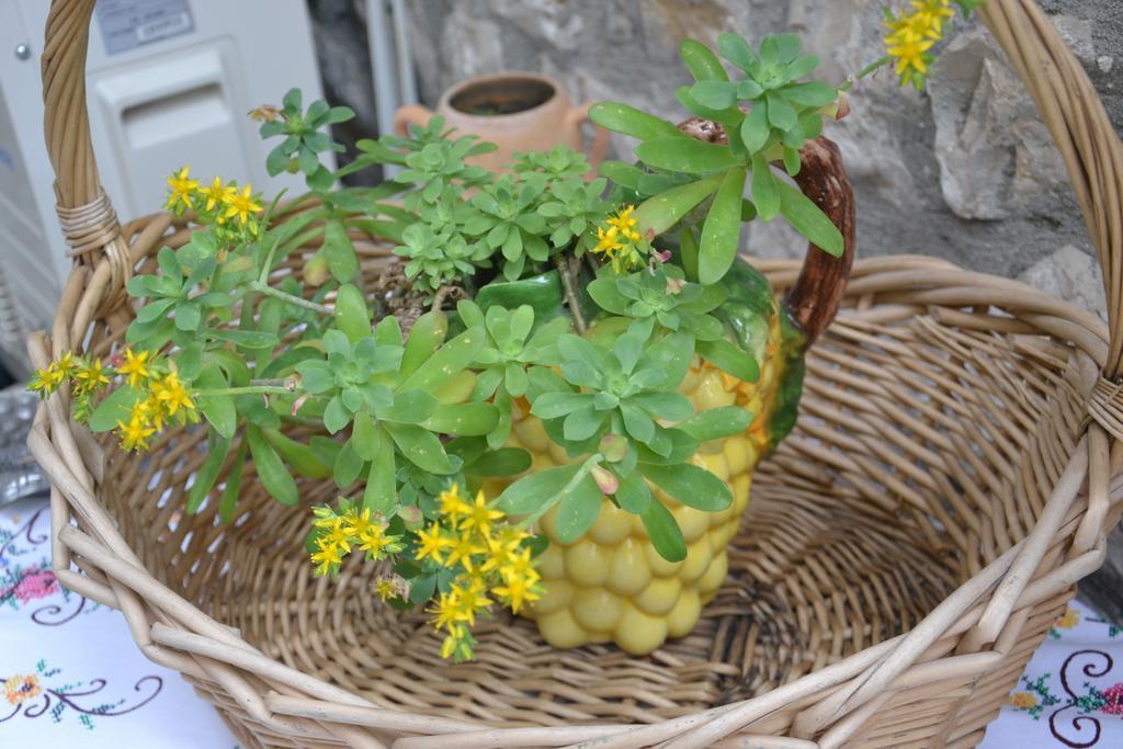 Bujtina Kodiket Guesthouse Берат Екстериор снимка