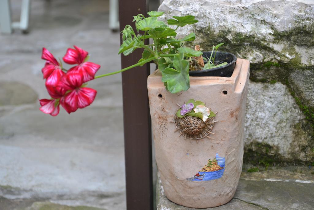 Bujtina Kodiket Guesthouse Берат Екстериор снимка